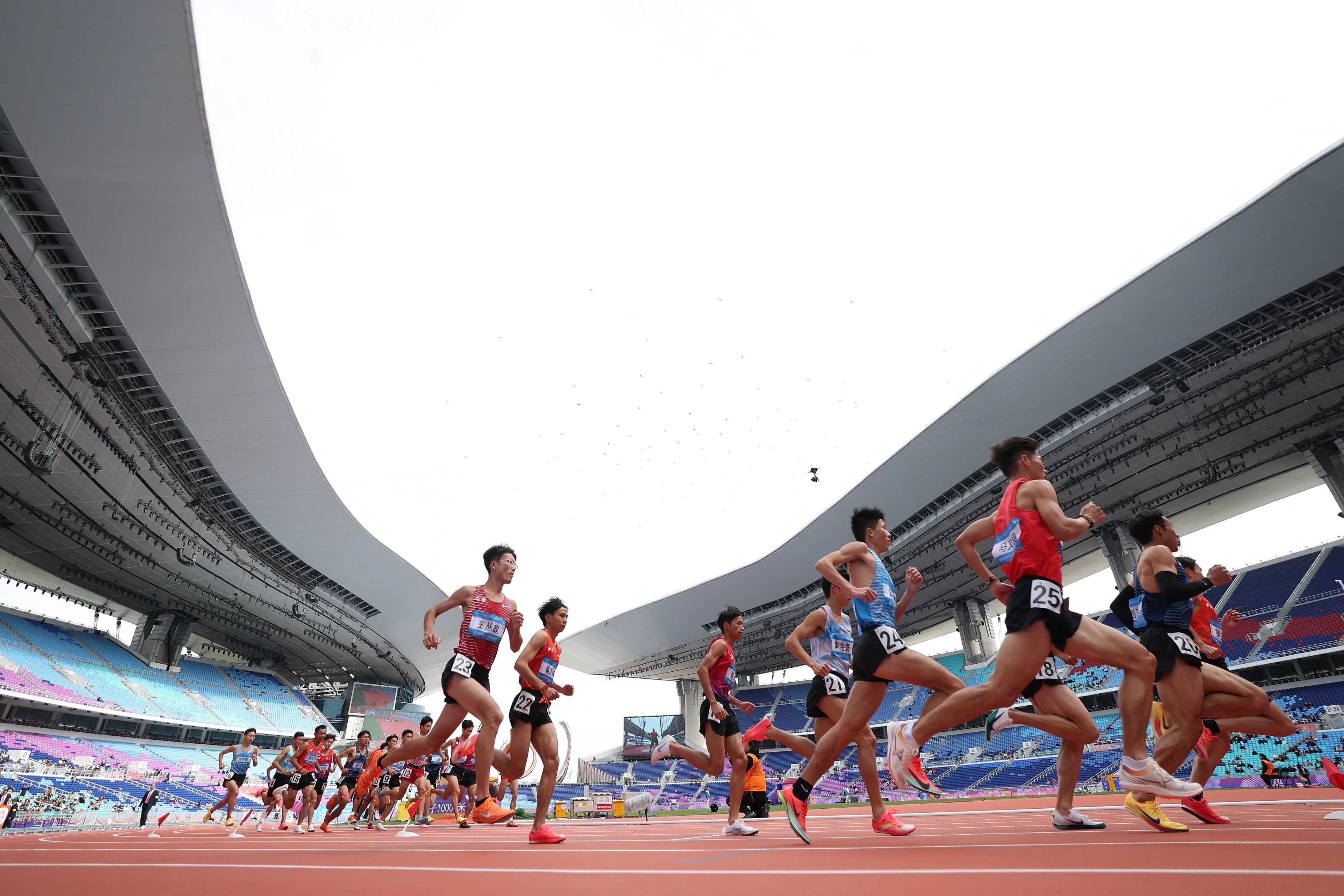 没有解散的DOGE，还在做些什么？